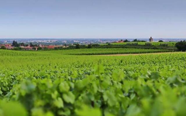 Wine & Lake In Franciacorta