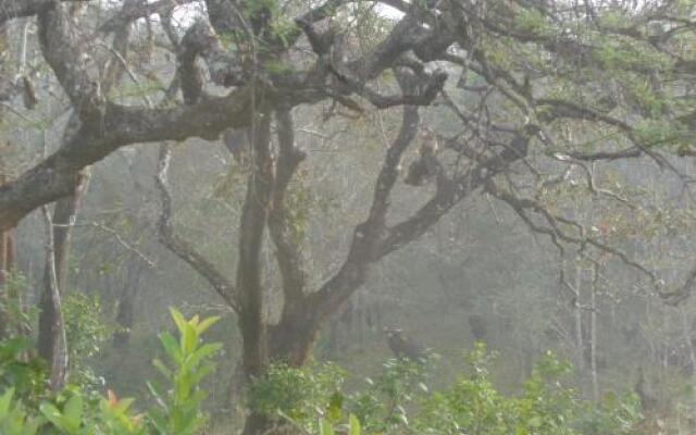Jungleparadiso Homestay