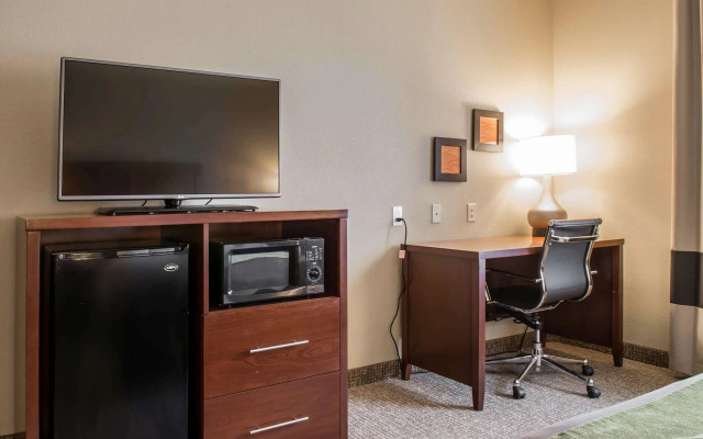 Comfort Inn Edinburg South
