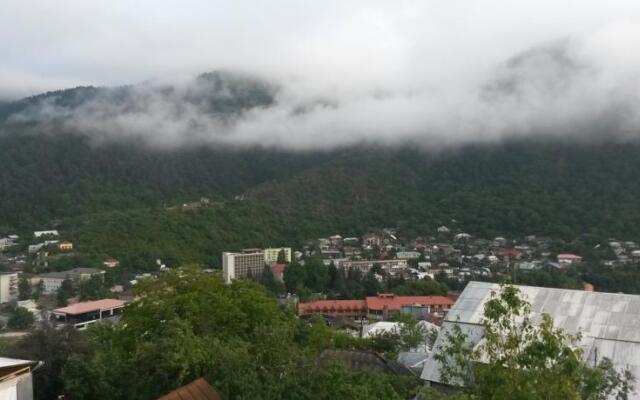 Villa "Borjomi"
