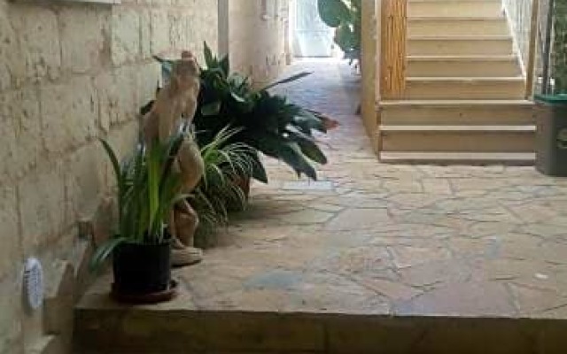 B&B Cuore del Palio