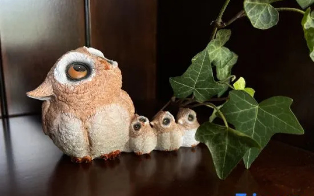 The Happy Bandmo's Home