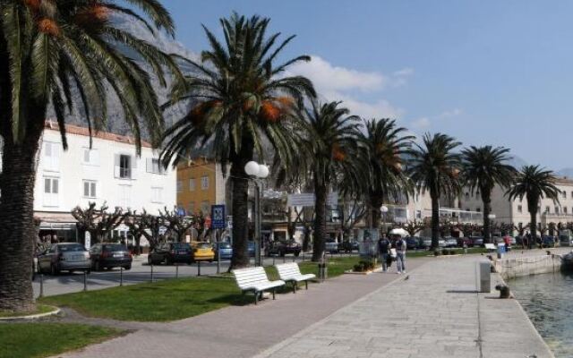 Apartments Nizetic at Waterfront