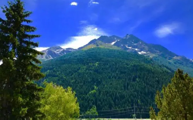 Hotel Schwarzer Adler