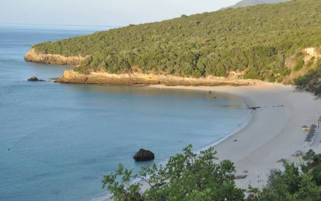 Pine Tree House in Azeit o