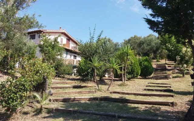 Il Pino Holiday Home