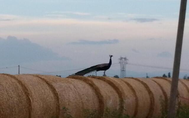 Agriturismo La Fattoria Del Boschetto
