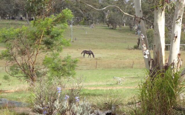 Tiandi Wildlife Sanctuary Farm Stay