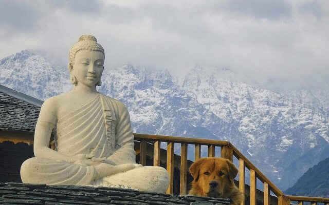 Osho Himalayas