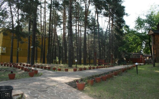 Buymerovka Pine & Spa Resort 1936