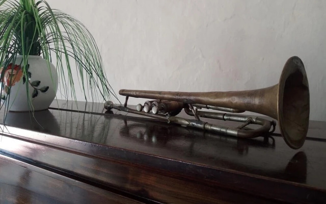 Los Vitrales REMEDIOS