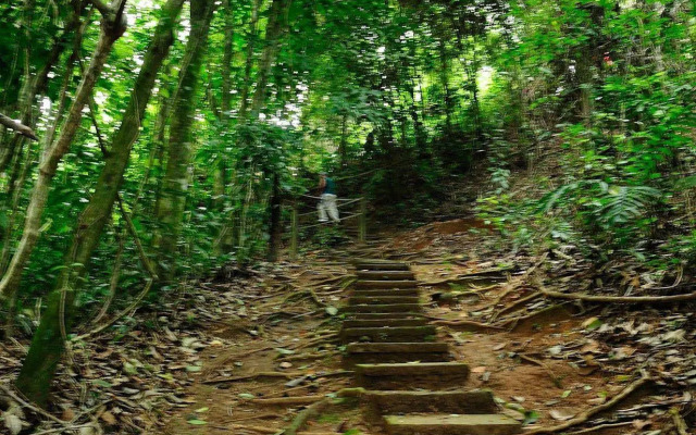 Paraiso Rainforest and Beach Hotel