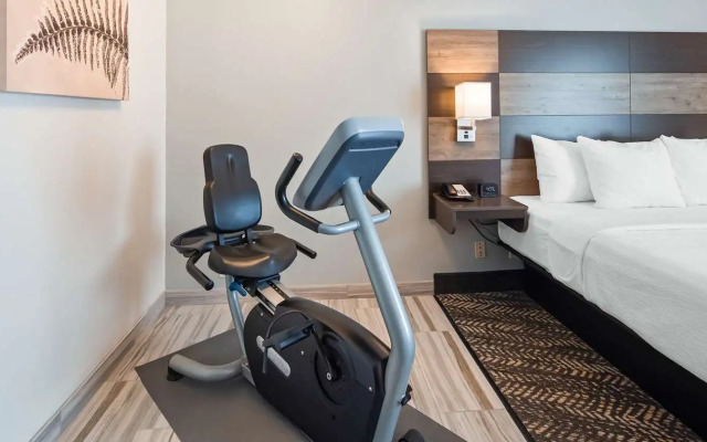 Plaza Hotel and Suites