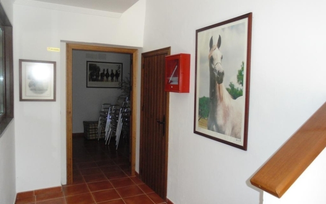 Hostal Paquito