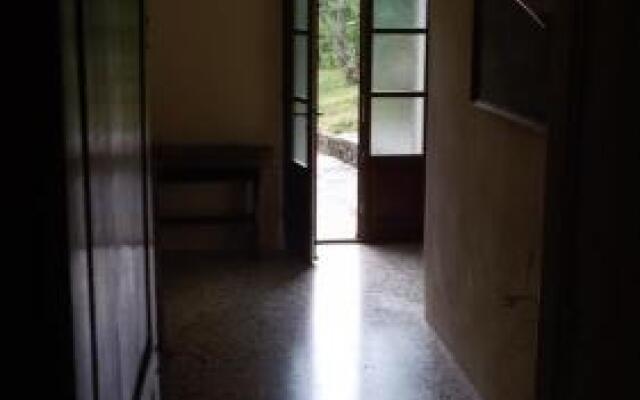 San Francesco E Il Lupo