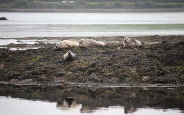 Seal Cabin