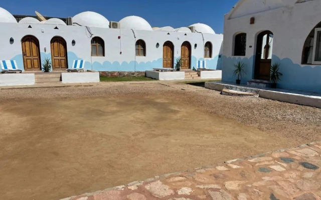 Dolphin Camp