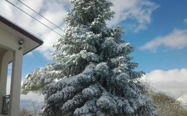 Agriturismo Persichitti