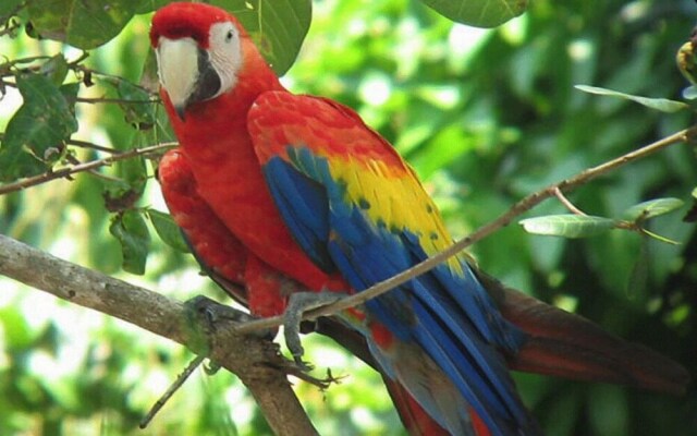 Gran América Pádel Club