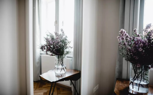 Boutique Hotel Altstadt Vienna