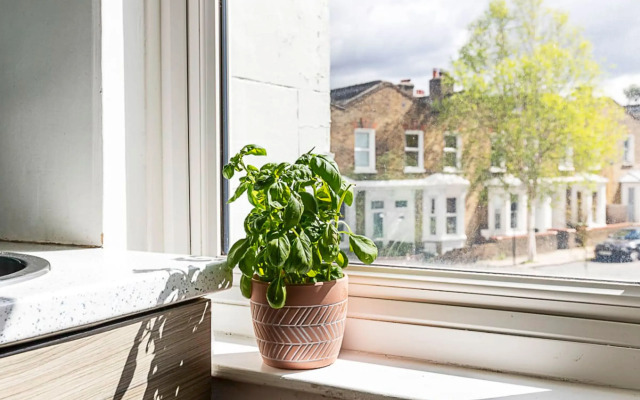 A Tranquil One-bedroom Flat Near Brockwell Park