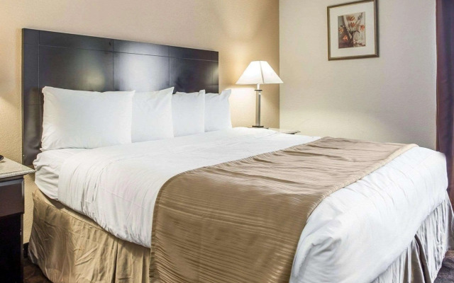 Quality Inn & Suites Coliseum