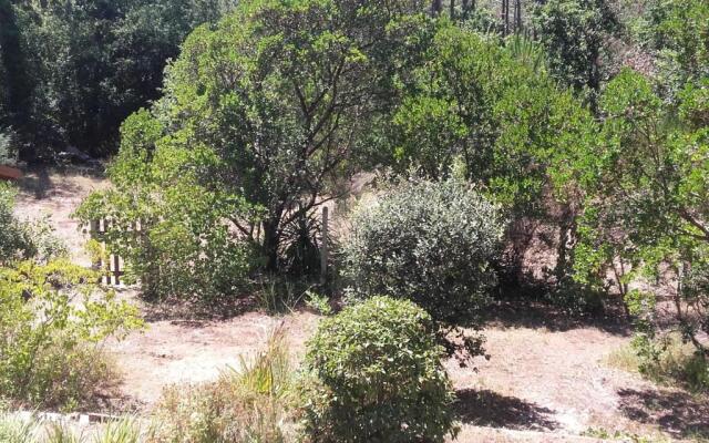 MAISON ARCACHON, 3 PIèCES, 5 PERSONNES - FR-1-319-383