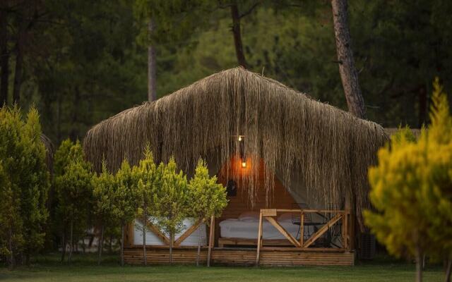 Green Pine Beach & Bungalows