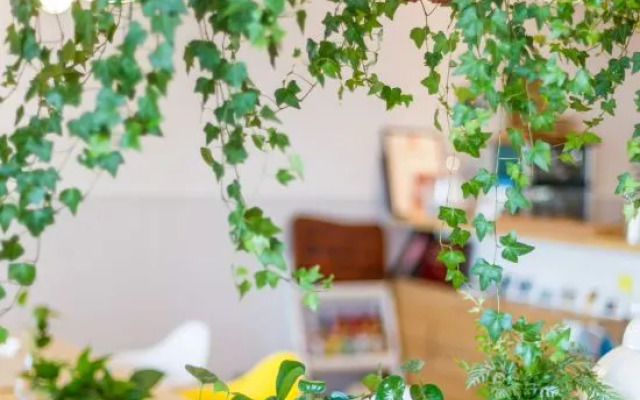 Sanshan Wuli Boutique Hostel