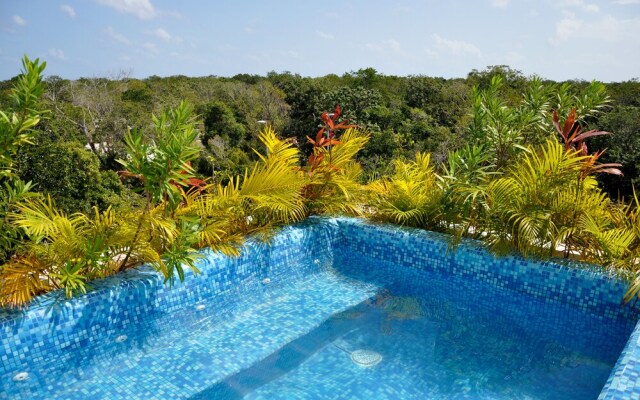 Mi Querido Tulum