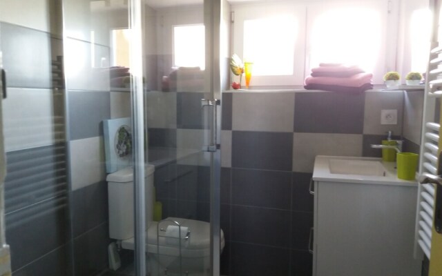 Les Oiseaux de Passage