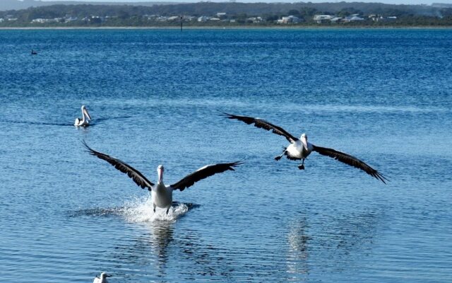 Mercure Kangaroo Island Lodge
