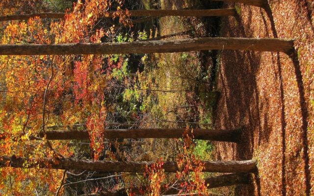 My Little Blue House