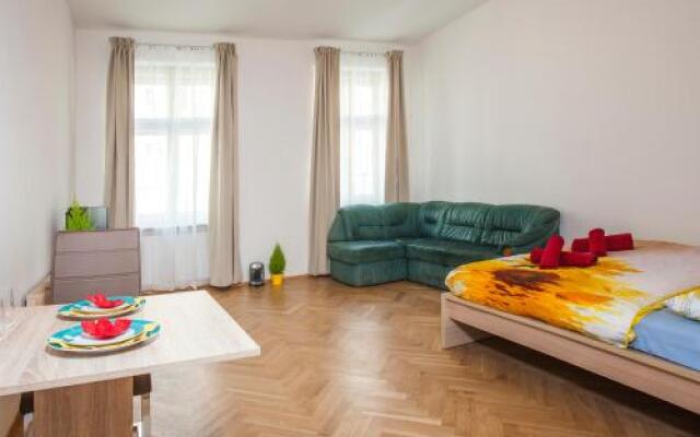 Beautiful Central Apartment Thámova