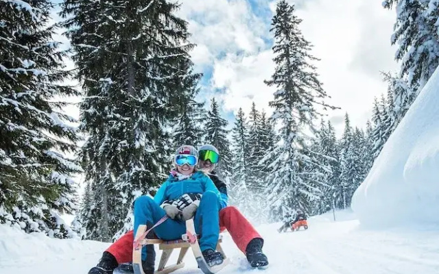Nice Apartment With Dishwasher, Near the Ski Slopes