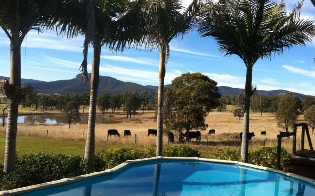 Starline Alpacas Farmstay Resort