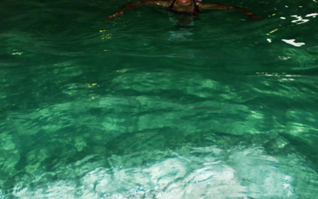 Agriturismo Colle delle Querce