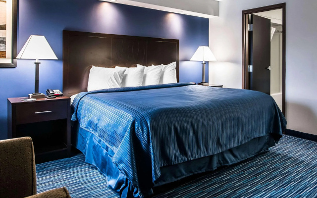 Clarion Pointe Downtown