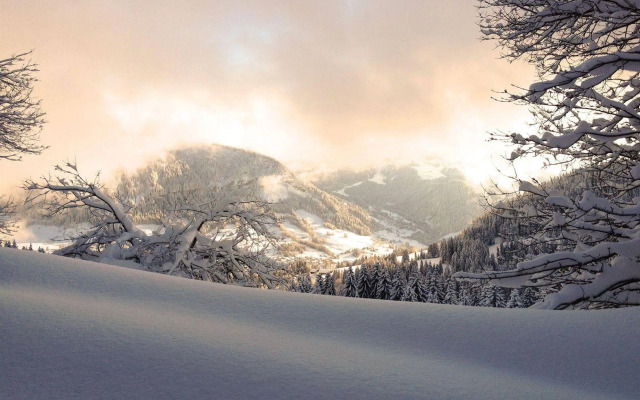 Chalet La Ferme Des Petites Frasses