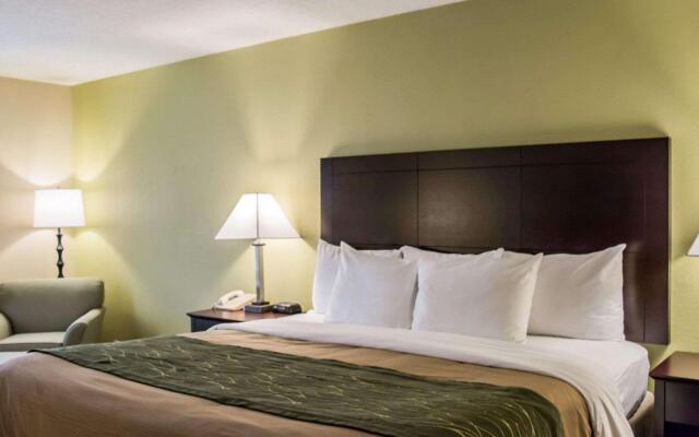 Comfort Inn & Suites St. Pete - Clearwater International Airport