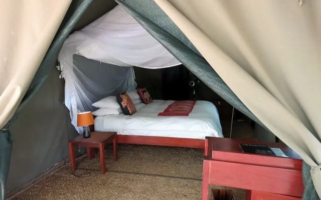 Croc Valley Camp