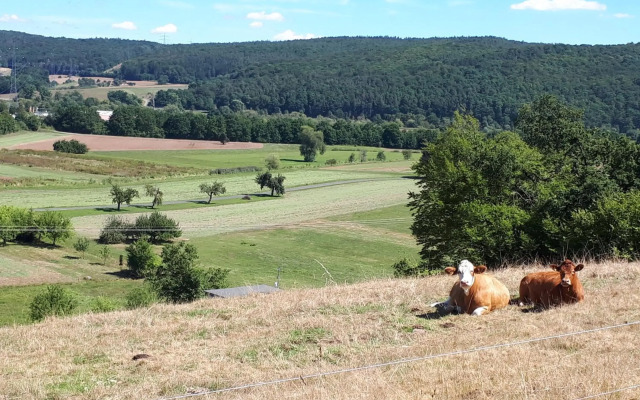 Hotel und Gasthof Spessarttor