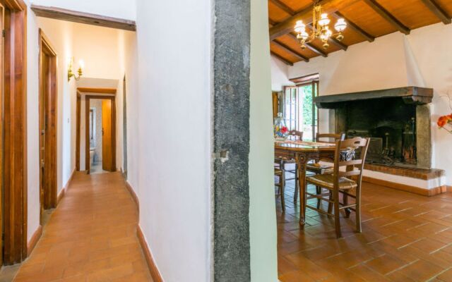 Podere Berrettino 29305