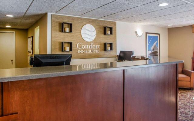 Comfort Inn & Suites Jackson - West Bend