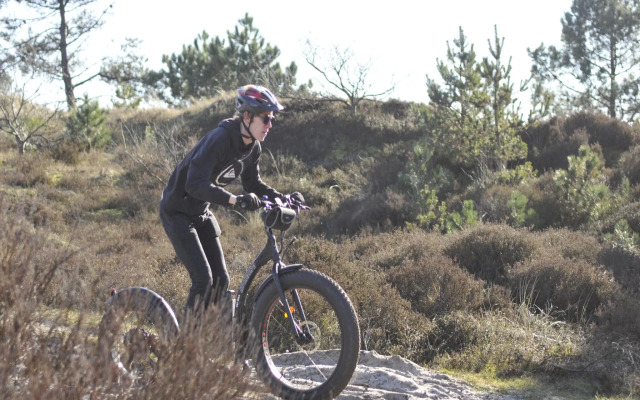 Detached Holiday Home In Schoorl With Garden