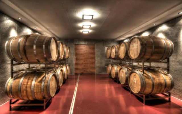 Weingut Apartment Hildegard Gangl