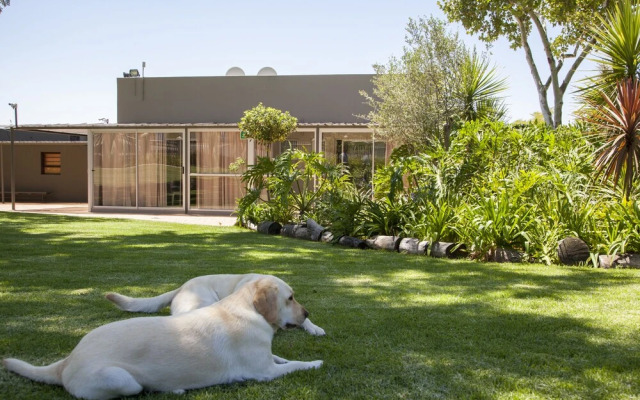 D'urbanmist Guest House