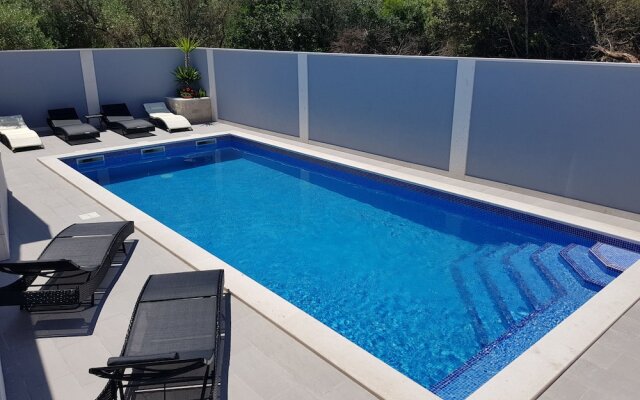 Baumgartner- Paradise Punta