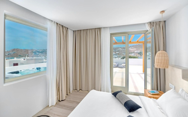 Mykonos Cactus