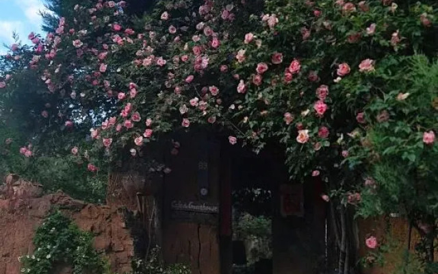 Up Air Guest house